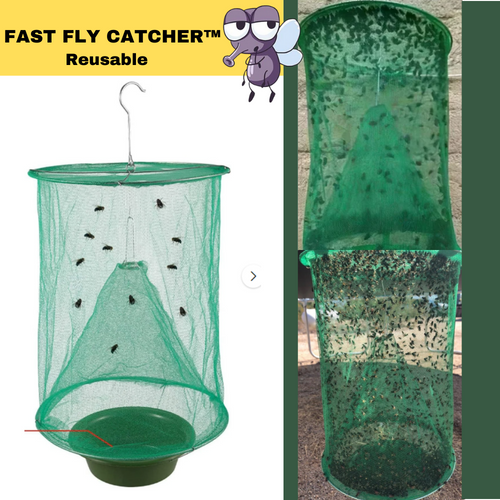 Fast Fly Catcher™ - Reusable - 100% Non toxic & organic 2024 | BUY IT NOW